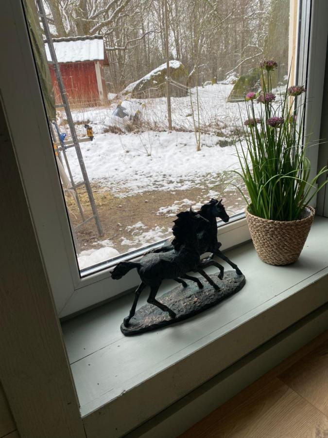 Timjan Forest Resort Nydala Zewnętrze zdjęcie