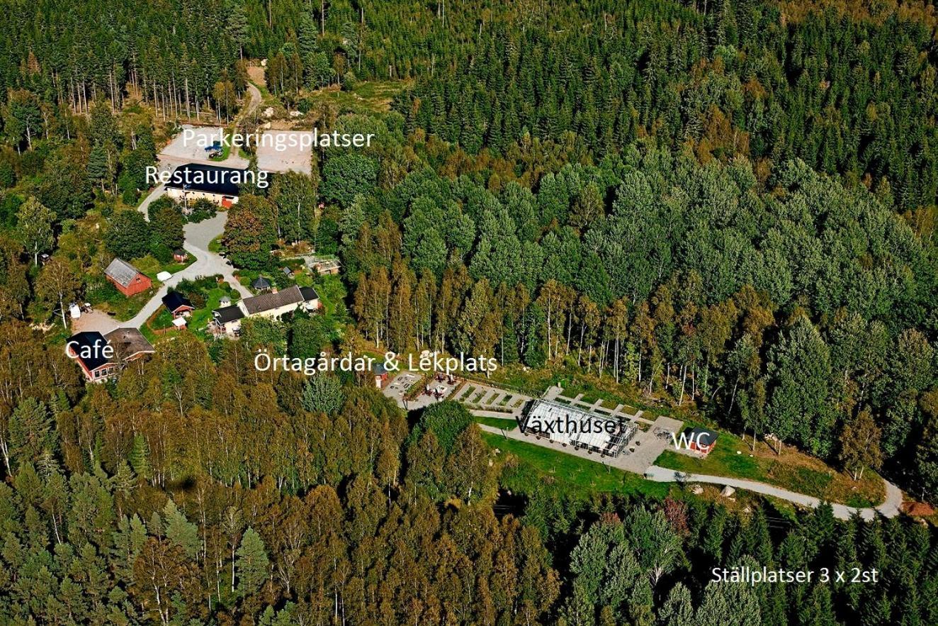 Timjan Forest Resort Nydala Zewnętrze zdjęcie