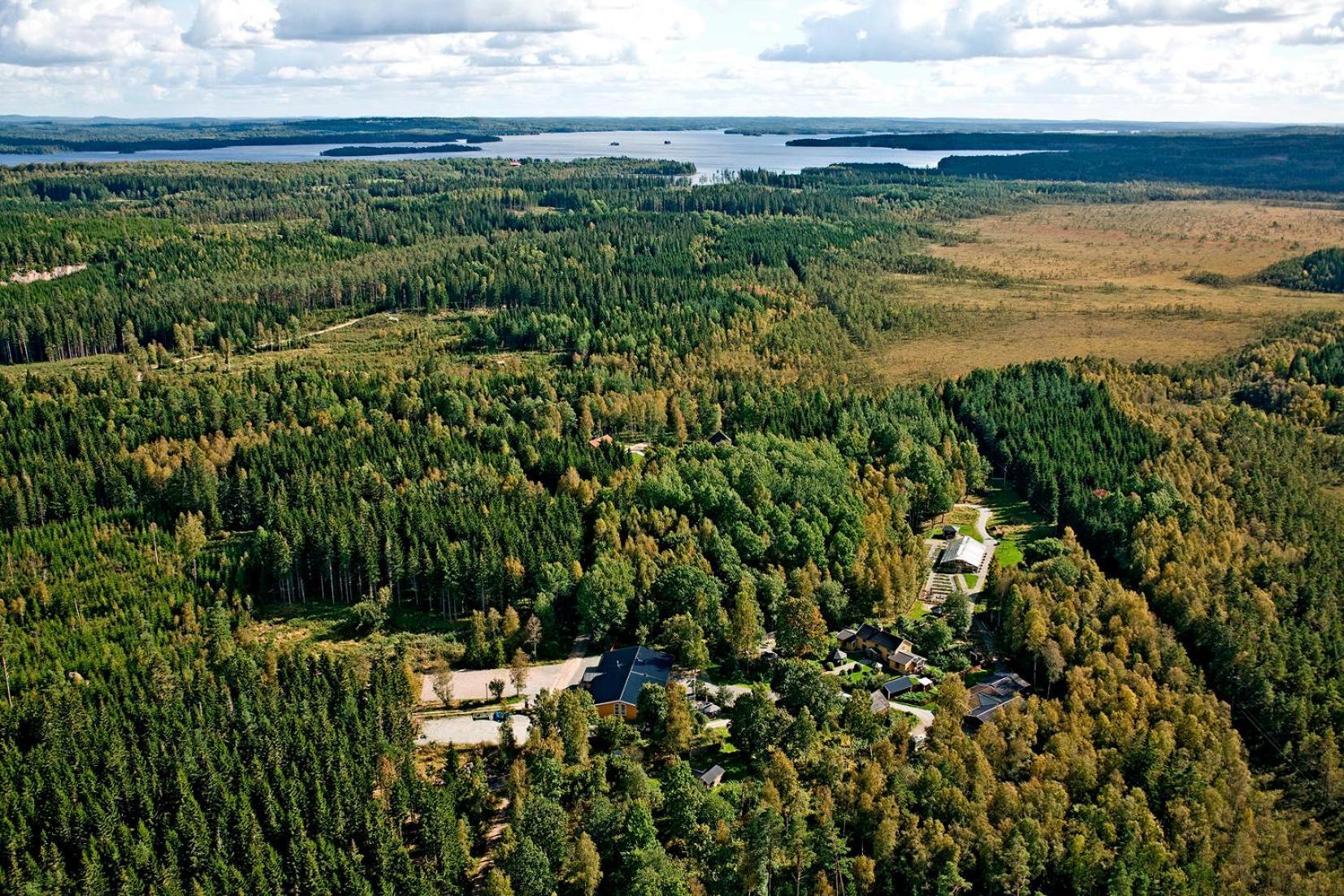 Timjan Forest Resort Nydala Zewnętrze zdjęcie