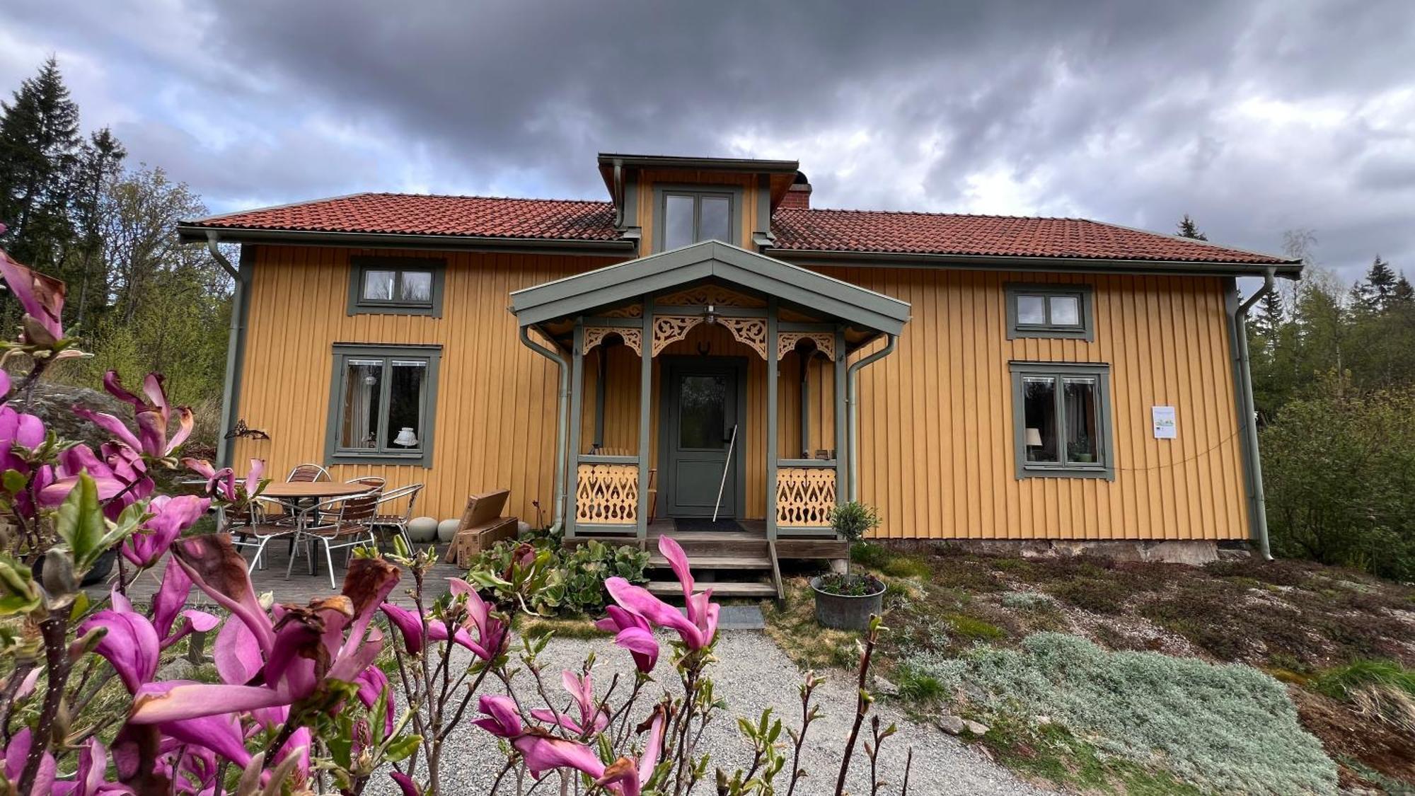 Timjan Forest Resort Nydala Zewnętrze zdjęcie