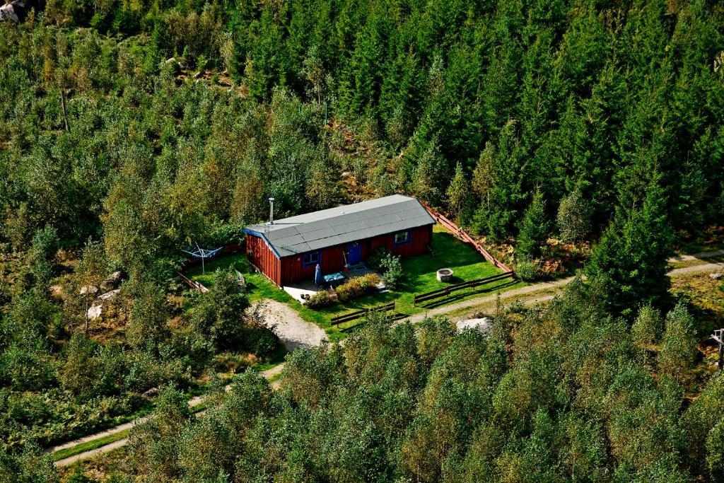 Timjan Forest Resort Nydala Zewnętrze zdjęcie